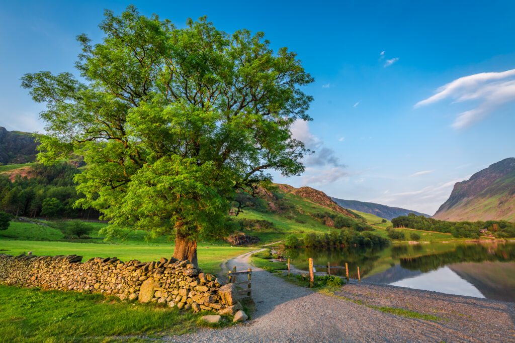 wonderful sunset at lake in district lake england 2022 04 08 01 26 53 utc